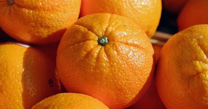 «El campo se desangra: La rebelión de la verdad frente a la tiranía del despacho»