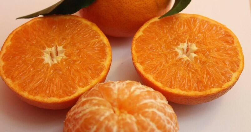mandarina-protegida-Leanri