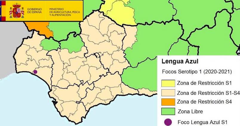 lengua-azul-serotipos