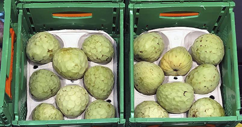 Mercadona apuesta por la chirimoya andaluza