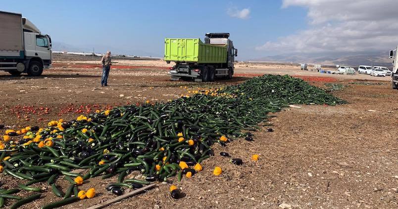 Productos de terceros países y reetiquetado fraudulento: el caldo de cultivo que ha agravado la crisis almeriense