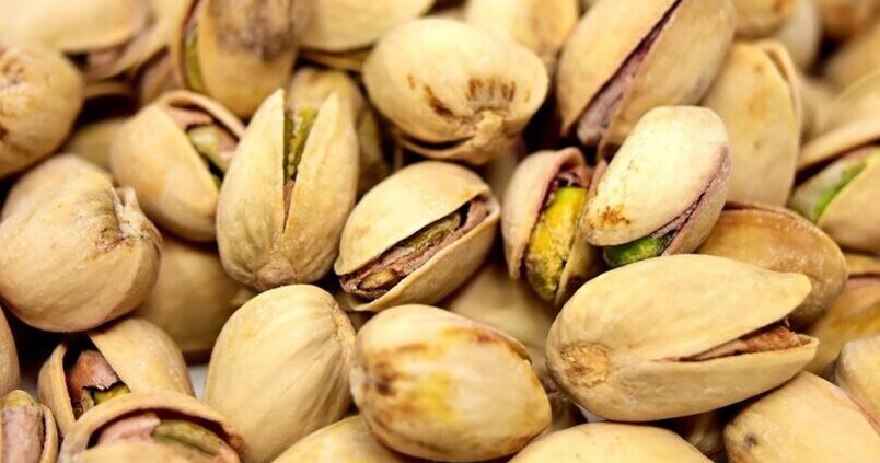 pistacho-cultivo-fruto