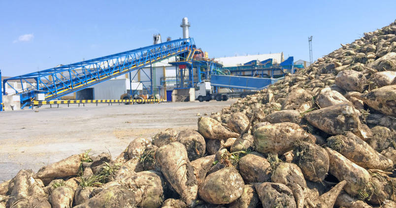 La Junta intentará frenar el cierre de la fábrica de Azucarera en Jerez, una «sentencia de muerte» para el cultivo de remolacha