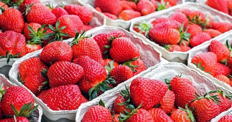 fresa-berries-huelva