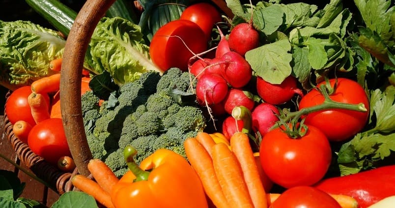 Andalucía bate un nuevo récord de exportaciones en frutas y hortalizas en el primer semestre de 2021