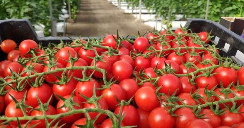 La ecuación del coste efectivo de producción