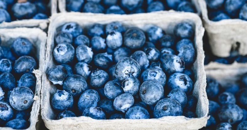 arandanos-frutos-rojos