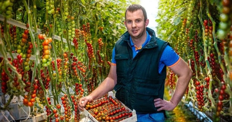 BASF presenta «AxalionTM», una nueva materia activa insecticida