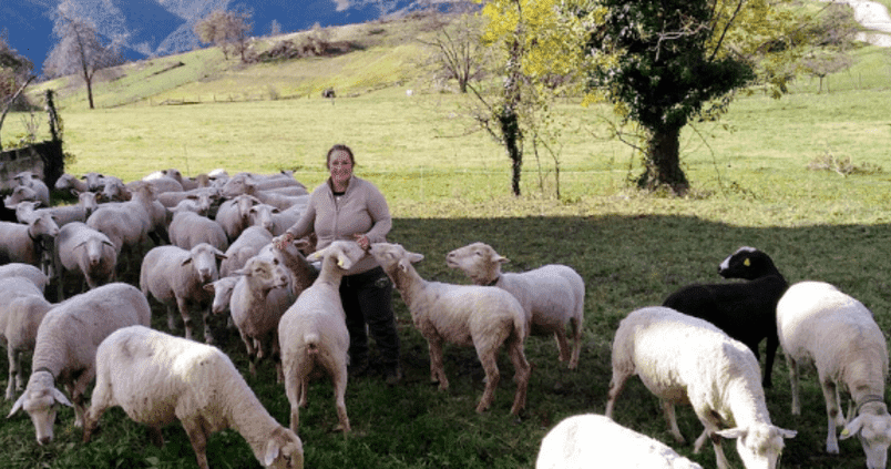 pastoras-ovejas-mujer