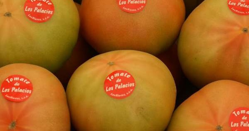 El tomate de Los Palacios alcanza la mayor producción de su historia
