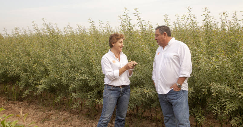 Cuatro generaciones haciendo florecer los cultivos frutales