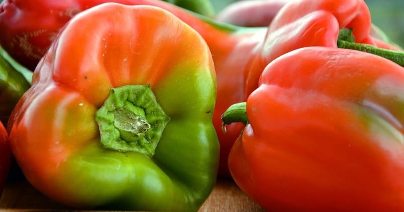¿De qué países provienen las frutas y hortalizas frescas que compran los españoles?