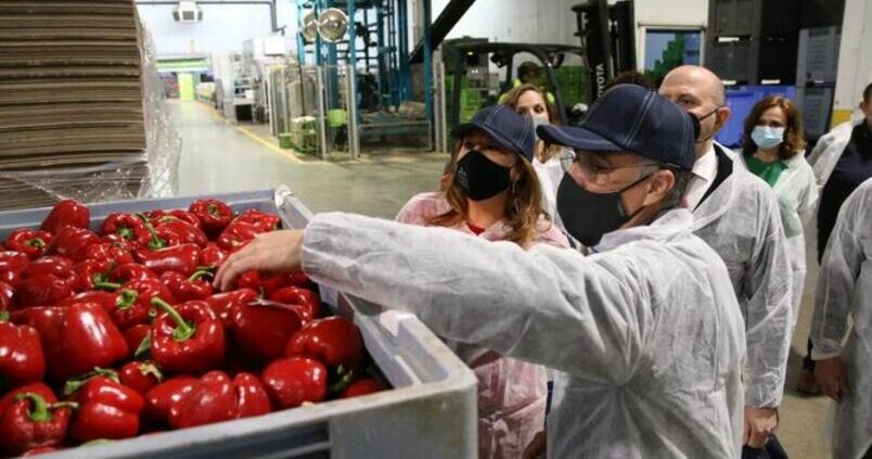 Cabasc invertirá más de 32 millones de euros para ser más sostenible