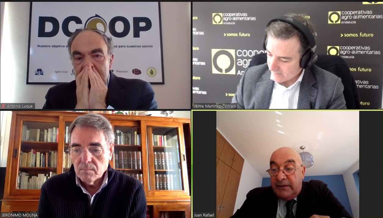 Un cuarto de siglo de cooperativismo en Andalucía: de los pueblos a la internacionalización