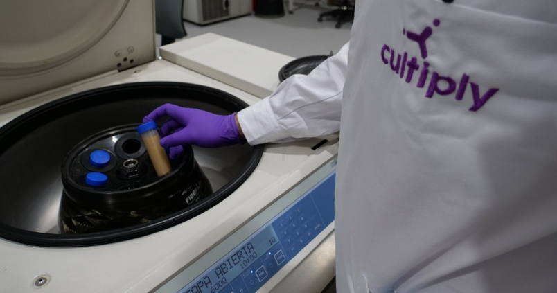 Una tecnología inteligente para la fermentación de cerveza, queso, vino y pan