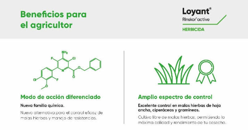 Loyant®, la nueva solución de Corteva Agriscience contra las malas hierbas en el arroz