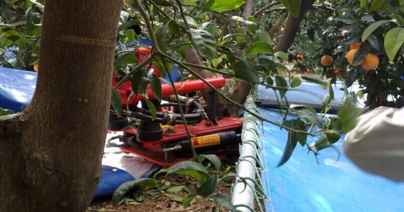 mecanizacion-cultivos-citricos