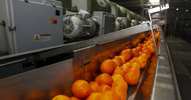 planta- zumo-garcia carrion (1)