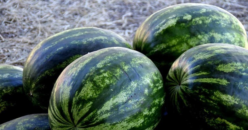 Las verdaderas razones de la escasez de sandías y melones en los supermercados