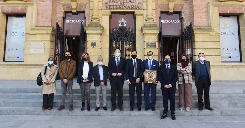 La investigación de la UCO en olivicultura llama la atención en el panorama internacional