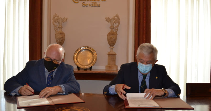 La Cámara de Comercio y la IGP de las aceitunas sevillanas se alían para impulsar la profesionalización del sector