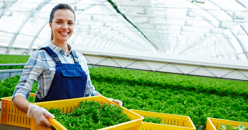 BASF y AgBiome preparan el lanzamiento de un nuevo fungicida biológico