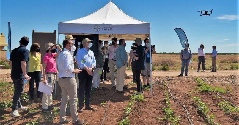 Bayer elige Sevilla para recrear la agricultura del futuro