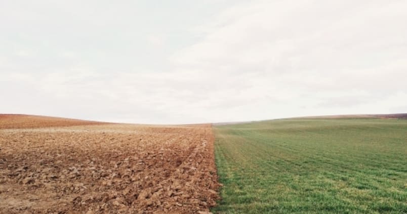 En plena ola de protestas, Bruselas propone derogar la obligación del barbecho para este 2024