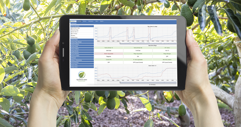 Trops y AgriSmart desarrollan una tecnología que permite cultivar aguacates con la mitad de agua