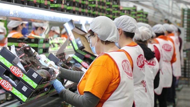 Trops supera los 3.000 socios con la absorción de la cooperativa granadina Hercofrut