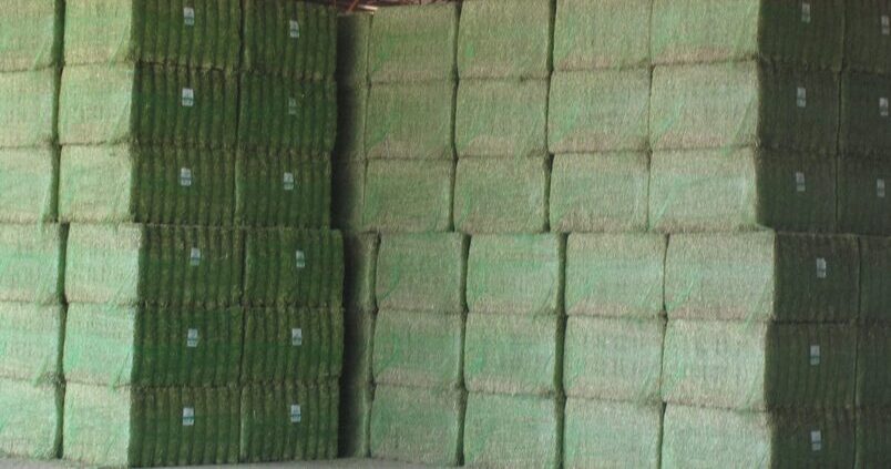 La alfalfa deshidratada española se exportó a más de 55 países en la pasada campaña