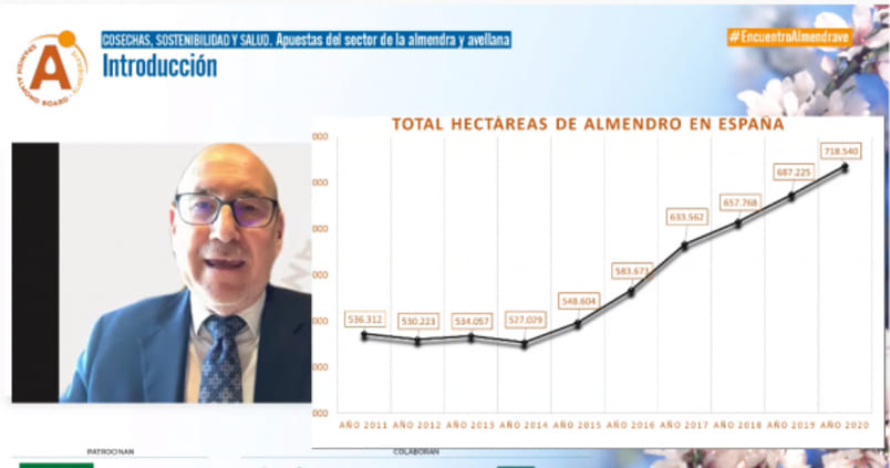 La almendra española acapara un 36% más de superficie que hace seis años