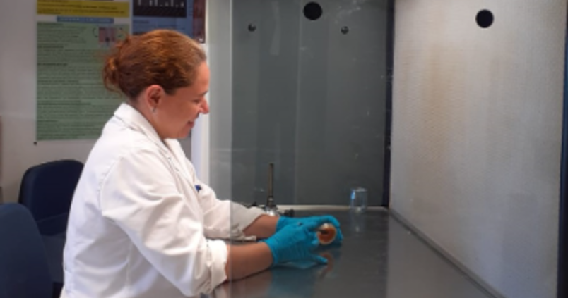 Una empresa granadina estudia cómo utilizar el alpeorujo como fertilizante