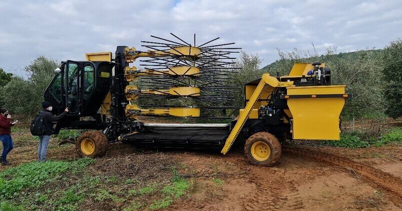 Cosechadoras, atomizadores o módulos para diques: Innolivar abre una nueva era para el olivar andaluz