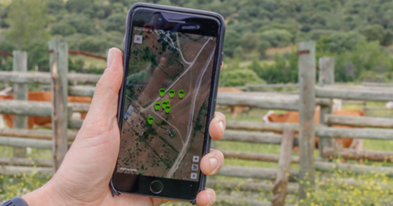 La Universidad de Córdoba prepara nuevos cursos para llevar la digitalización al sector agrícola