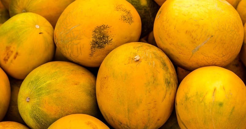 Alertan del «hundimiento» de la economía agraria andaluza por la importación de fruta de terceros países