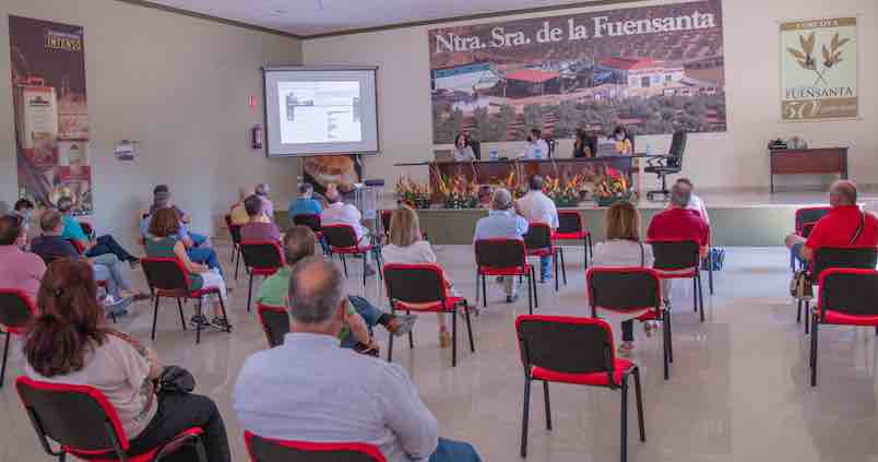 La DOP Estepa elabora un innovador mapa de erosión del suelo de su olivar