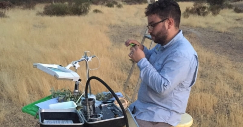 La temida ‘seca’ puede detectarse hasta con dos años de antelación