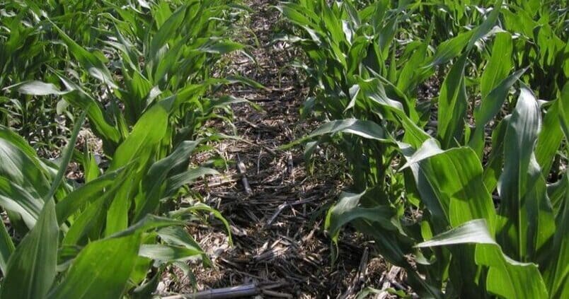 La agricultura de conservación como respuesta del sector agrícola ante una situación de emergencia climática