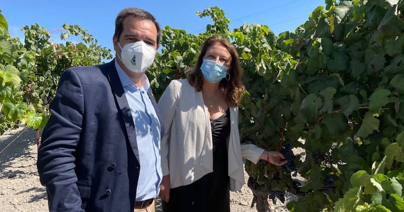 Asaja Cádiz insiste: el número de regiones agroecológicas debe coincidir con el de regiones productivas en la nueva PAC