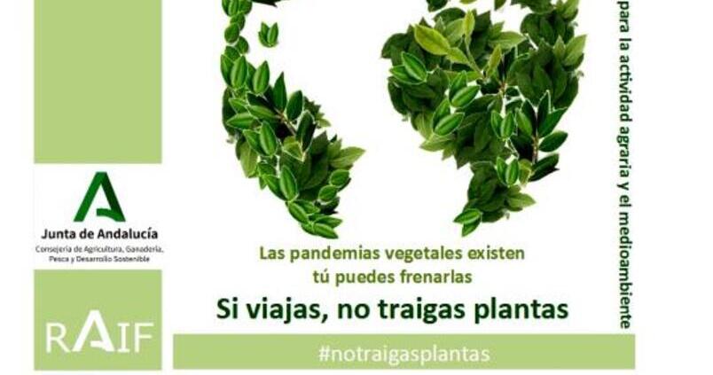 «Si viajas, no traigas plantas»: así es la campaña que vela por la sanidad del campo andaluz