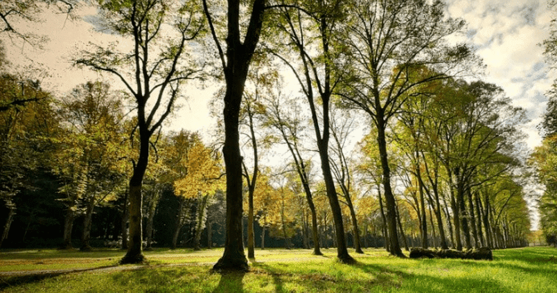 Asaja e Iberdrola se alían para impulsar la agricultura y ganadería cero emisiones