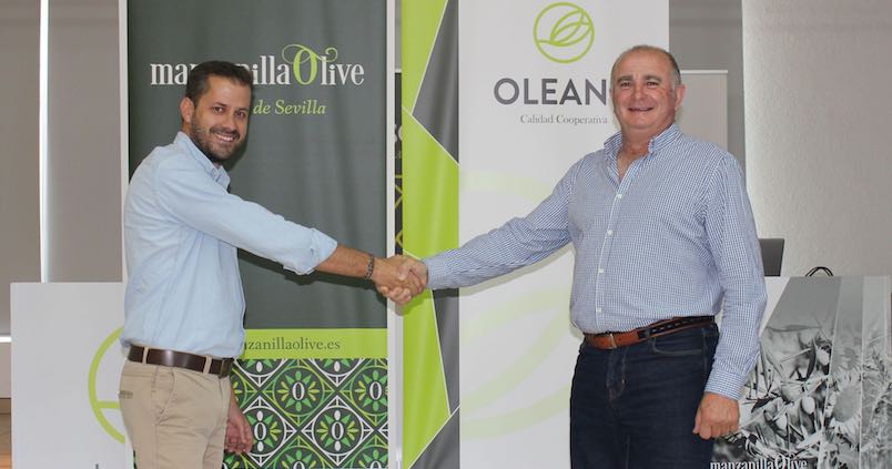 Manzanilla Olive se fusiona con Oleand para convertirse en la mayor cooperativa de aceituna de mesa de Andalucía