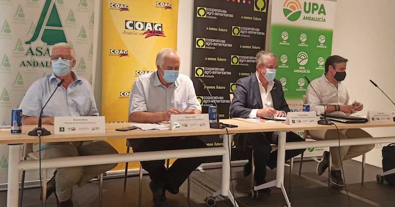 El campo arremete contra los ecoesquemas de Planas: «Ha roto su compromiso con Andalucía»