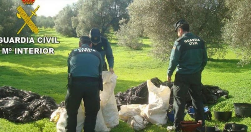 Un 32% de los robos en el campo a nivel nacional se produce en Andalucía