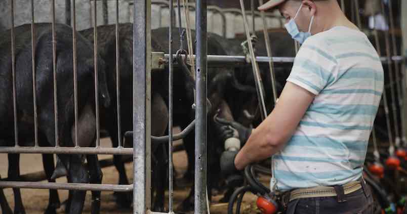 Reclaman medidas urgentes ante la «inasumible» subida de un 300% en el precio de la luz