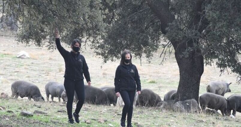 El número de mujeres que emprenden en el campo de Córdoba sigue creciendo
