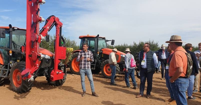 Agromillora muestra en campo el futuro del olivar moderno
