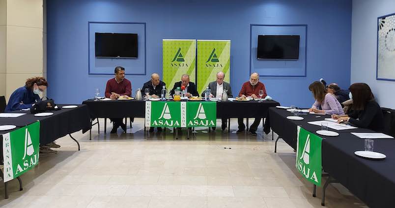 Así ha sido el año agrícola en Granada: pérdidas irreparables de almendra y preocupación en el tomate