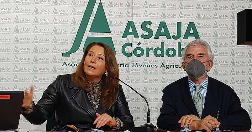 La Junta solicitará al Ministerio de Agricultura «mecanismos urgentes» para atajar la crisis del campo